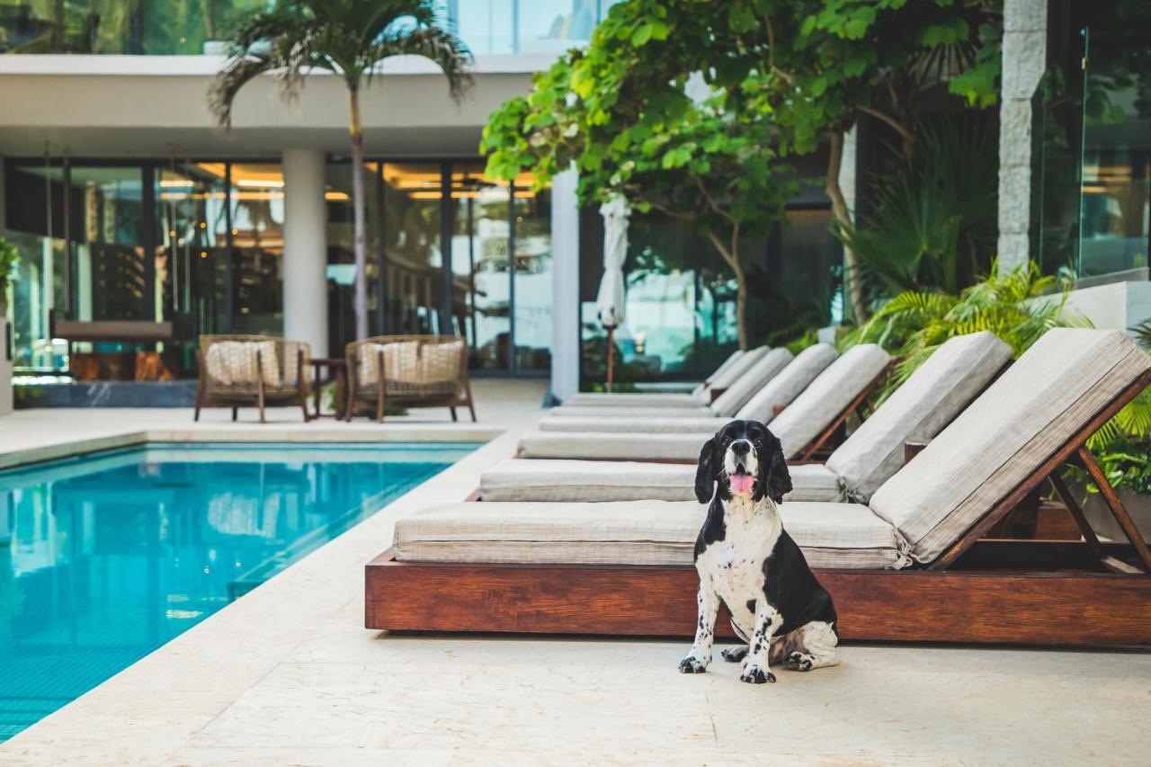 Thompson Playa Del Carmen Beach House, By Hyatt Buitenkant foto