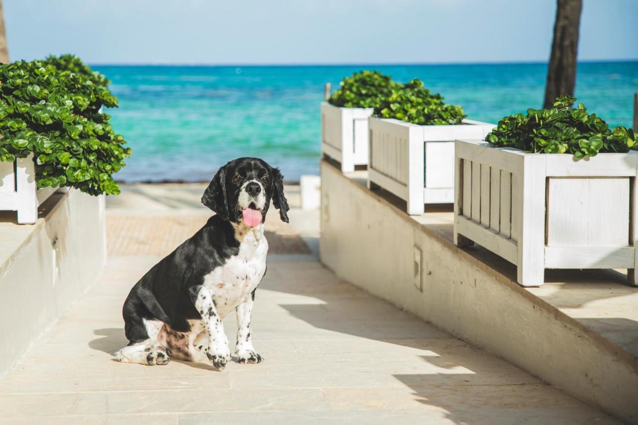 Thompson Playa Del Carmen Beach House, By Hyatt Buitenkant foto